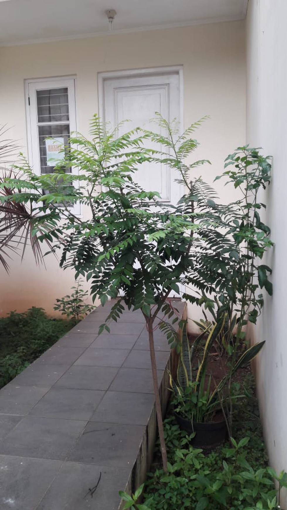 Rumah Siap Huni, Lokasi Strategis, dan Hunian Nyaman @Puri Bintaro