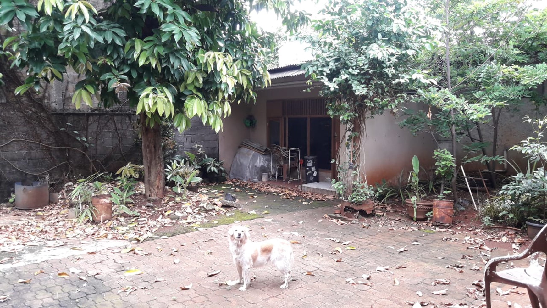 Rumah siap huni,lokasi oke di Jakarta Selatan