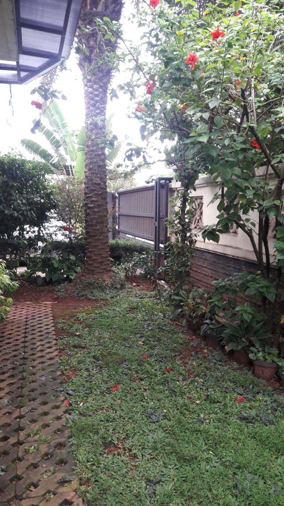 Rumah Siap Huni, Strategis, dan Hunian Asri serta Nyaman @Cendana Loka Raya, Graha Raya Bintaro
