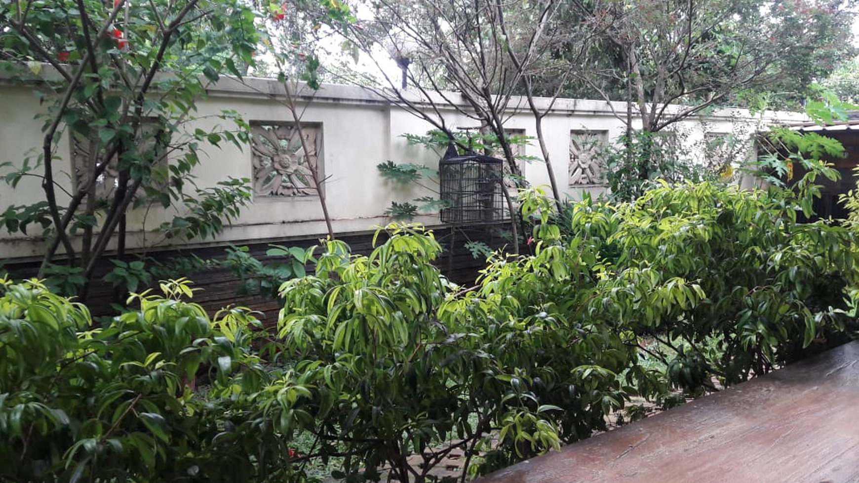 Rumah Siap Huni, Strategis, dan Hunian Asri serta Nyaman @Cendana Loka Raya, Graha Raya Bintaro