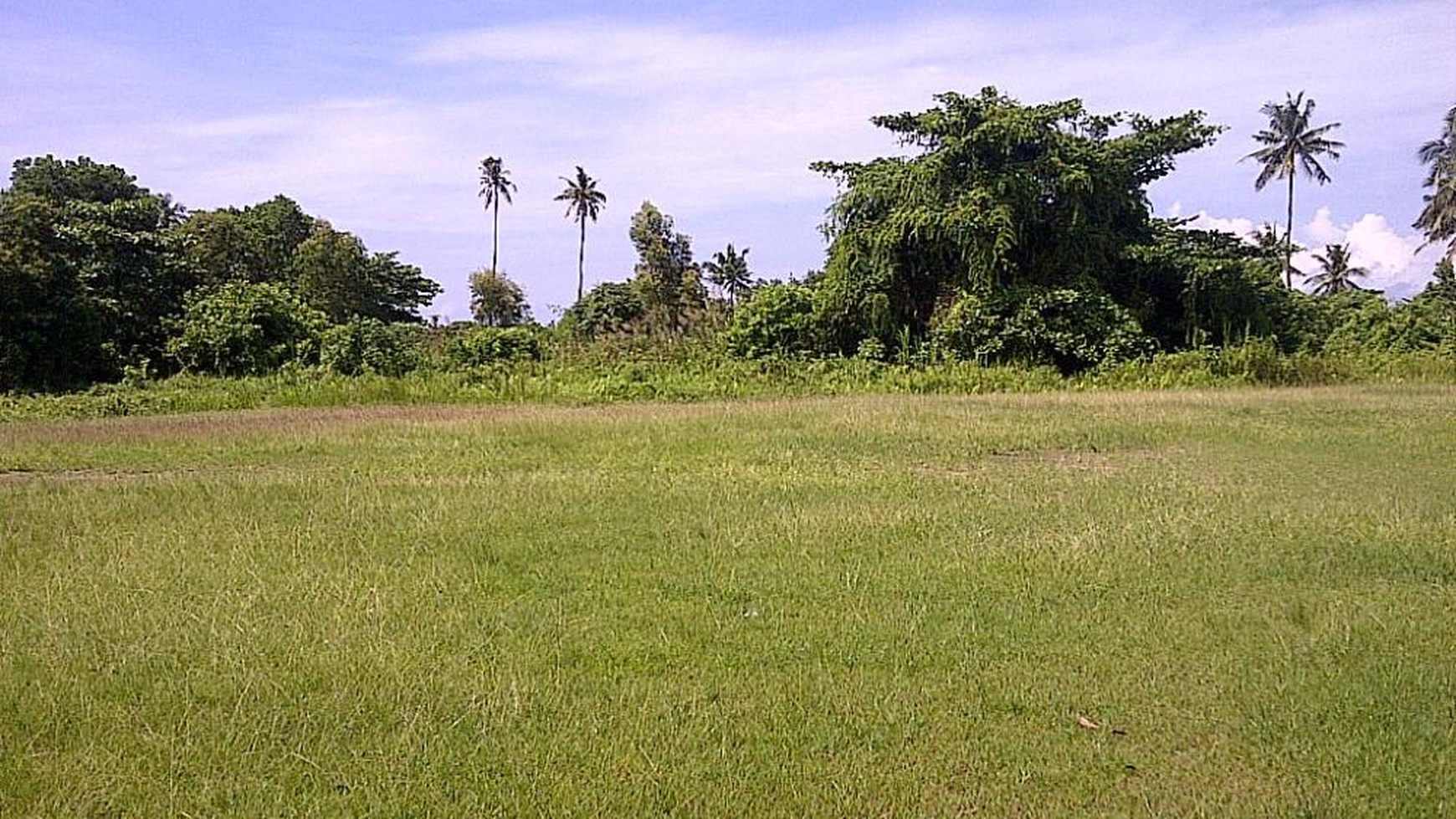 Tanah Pepelegi waru lebar 13