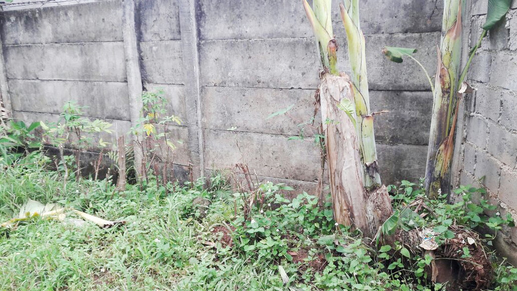 Tanah Murah dekat Permata Bintaro @Rawalele