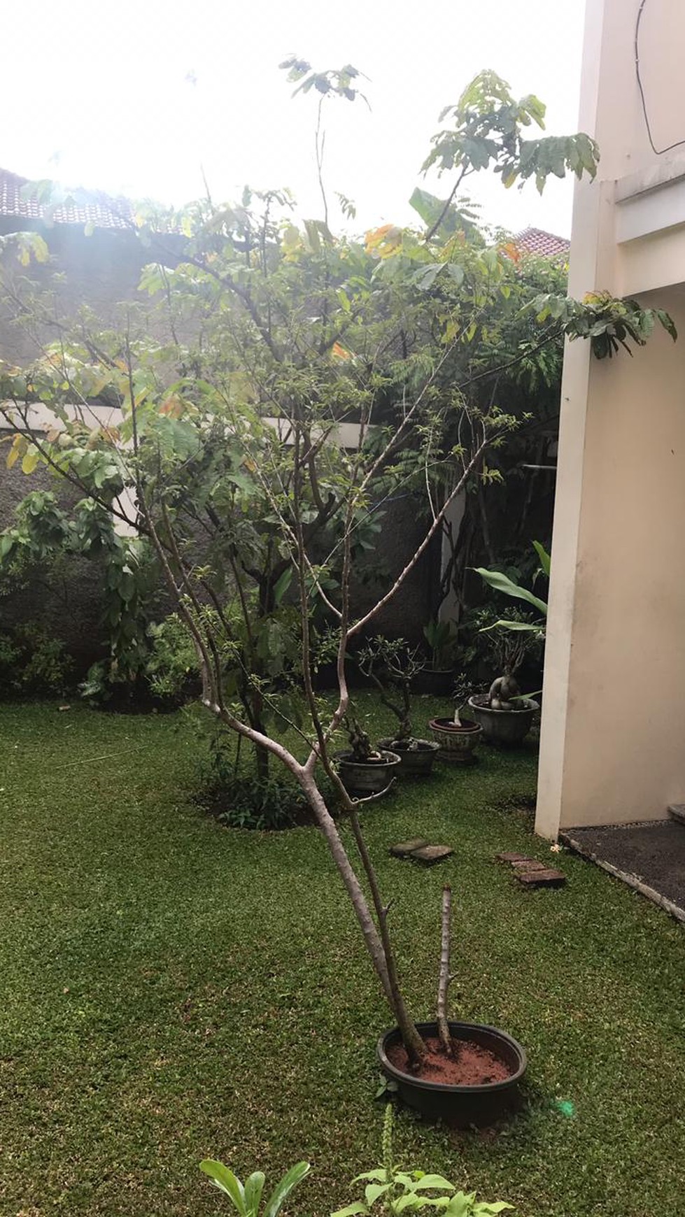 Rumah Siap Huni, Hunian Nyaman dan Asri @Taman Giri Loka, BSD