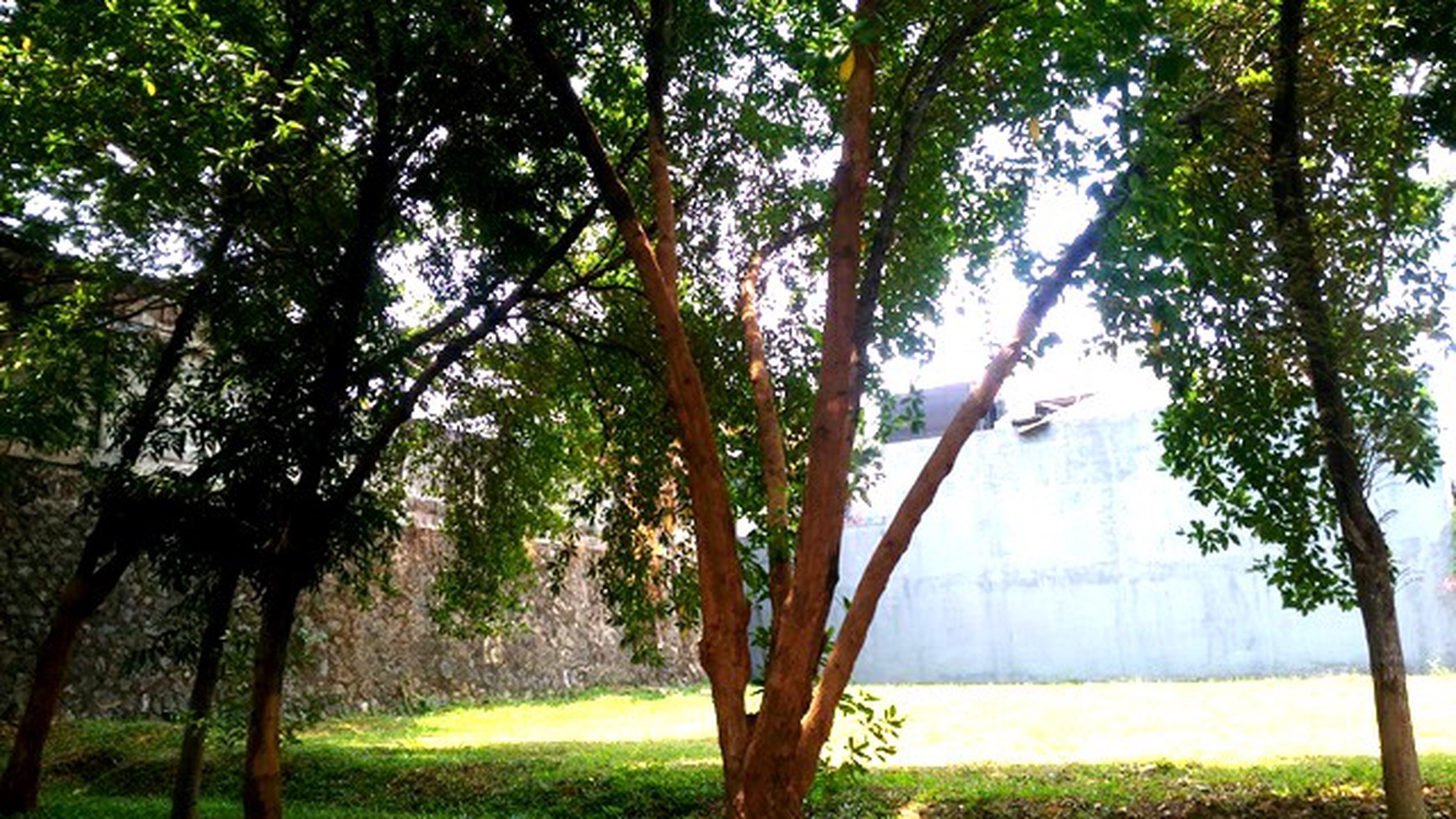 KAVLING Menteng Bintaro depan TAMAN Luas 250 m, Harga 15 Jt/m, Nego sampai DEAL