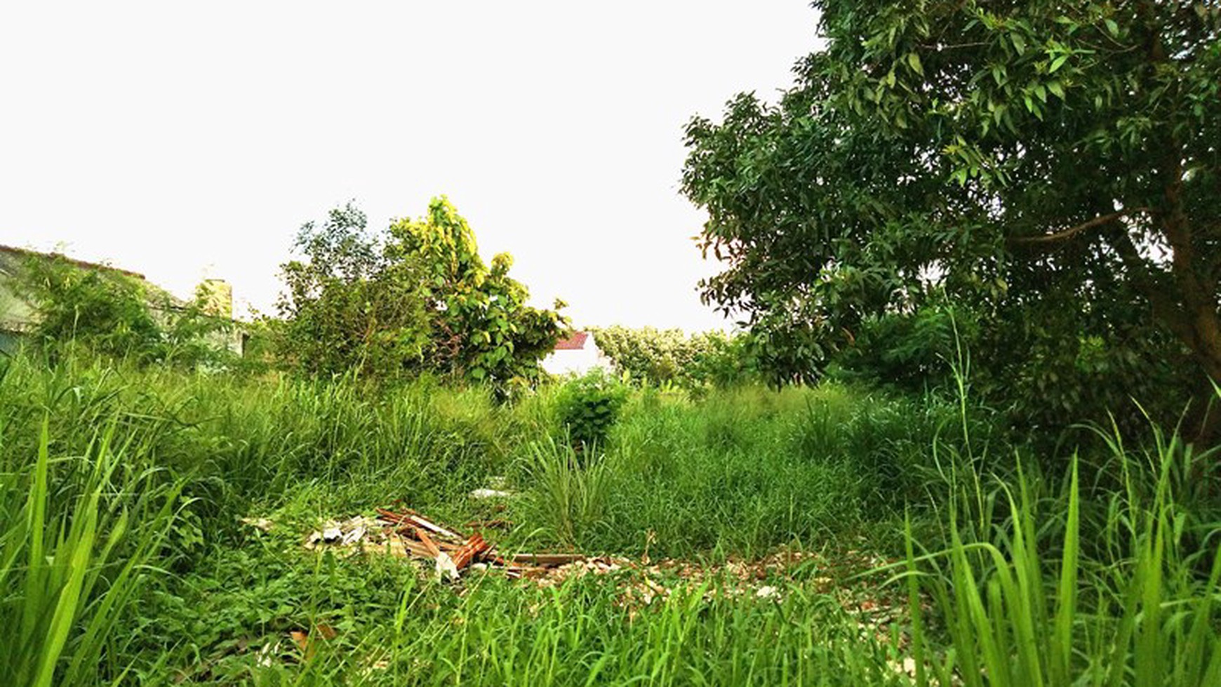 Kavling komersial pinggir jalan raya 675m, Harga 6,5Jt/m nego