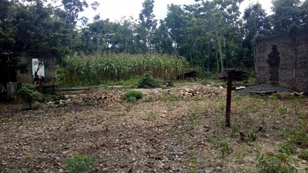 TANAH PEKARANGAN SELUAS 3000 METER DI TEMUWUH, BANTUL.