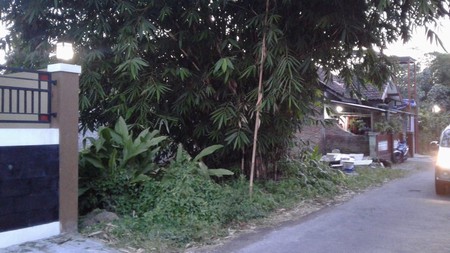 TANAH COCOK UNTUK RUMAH TINGGAL/USAHA, DI JL NANAS, KADISOKA