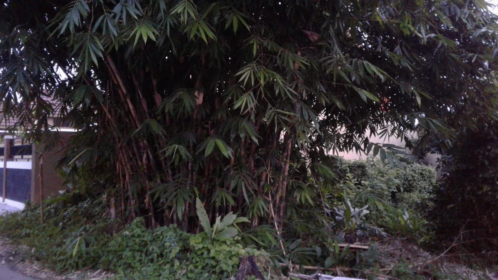 TANAH COCOK UNTUK RUMAH TINGGAL/USAHA, DI JL NANAS, KADISOKA
