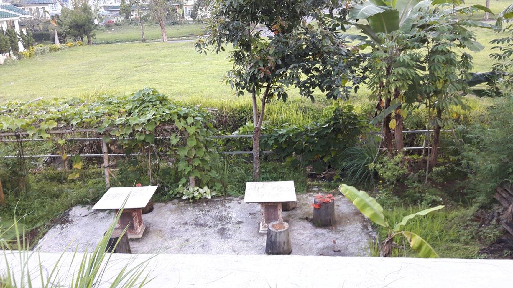 Villa dengan suasana  yang nyaman, tenang dan strategis