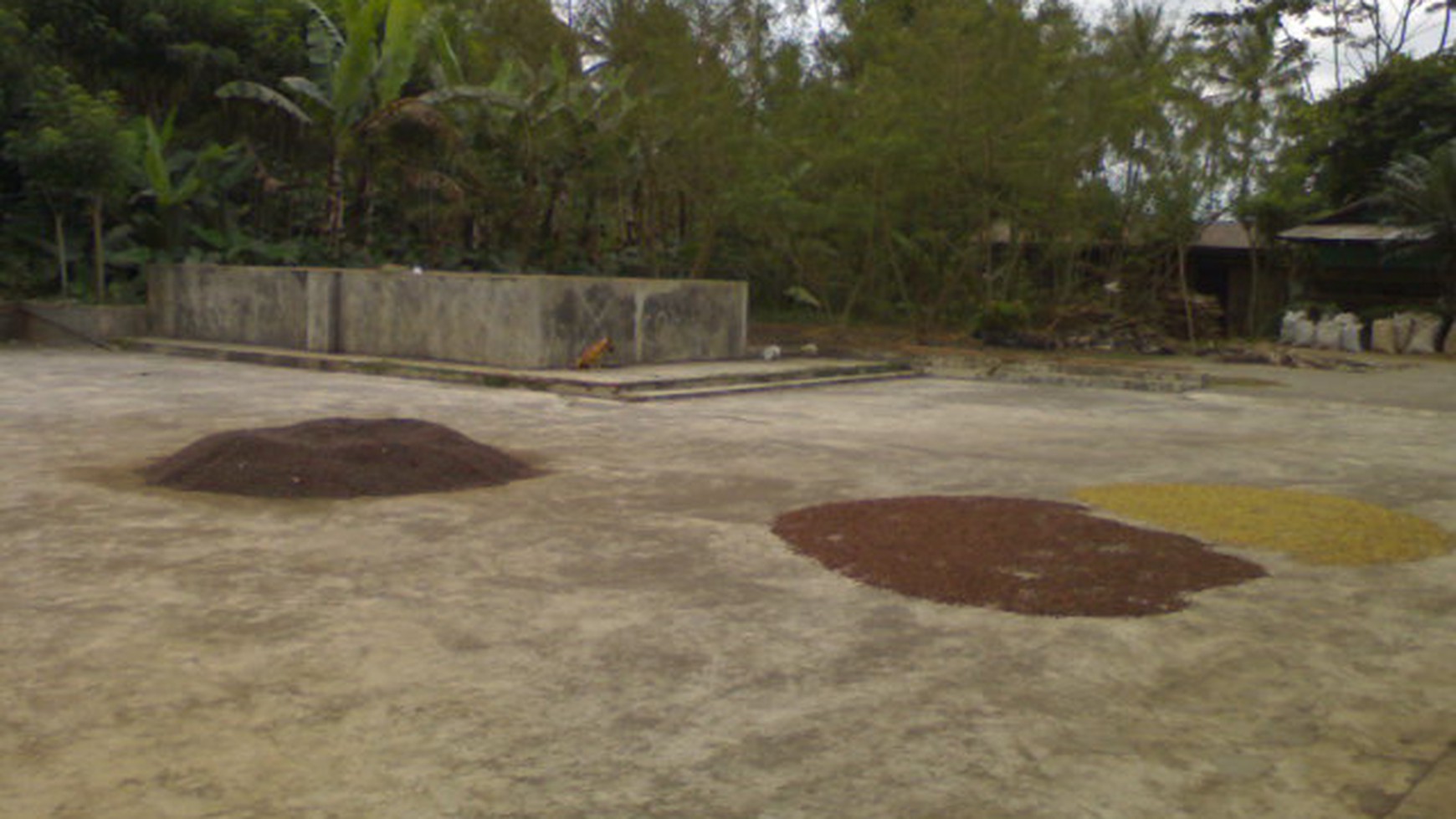 Rumah siap huni di Malang Jawa timur