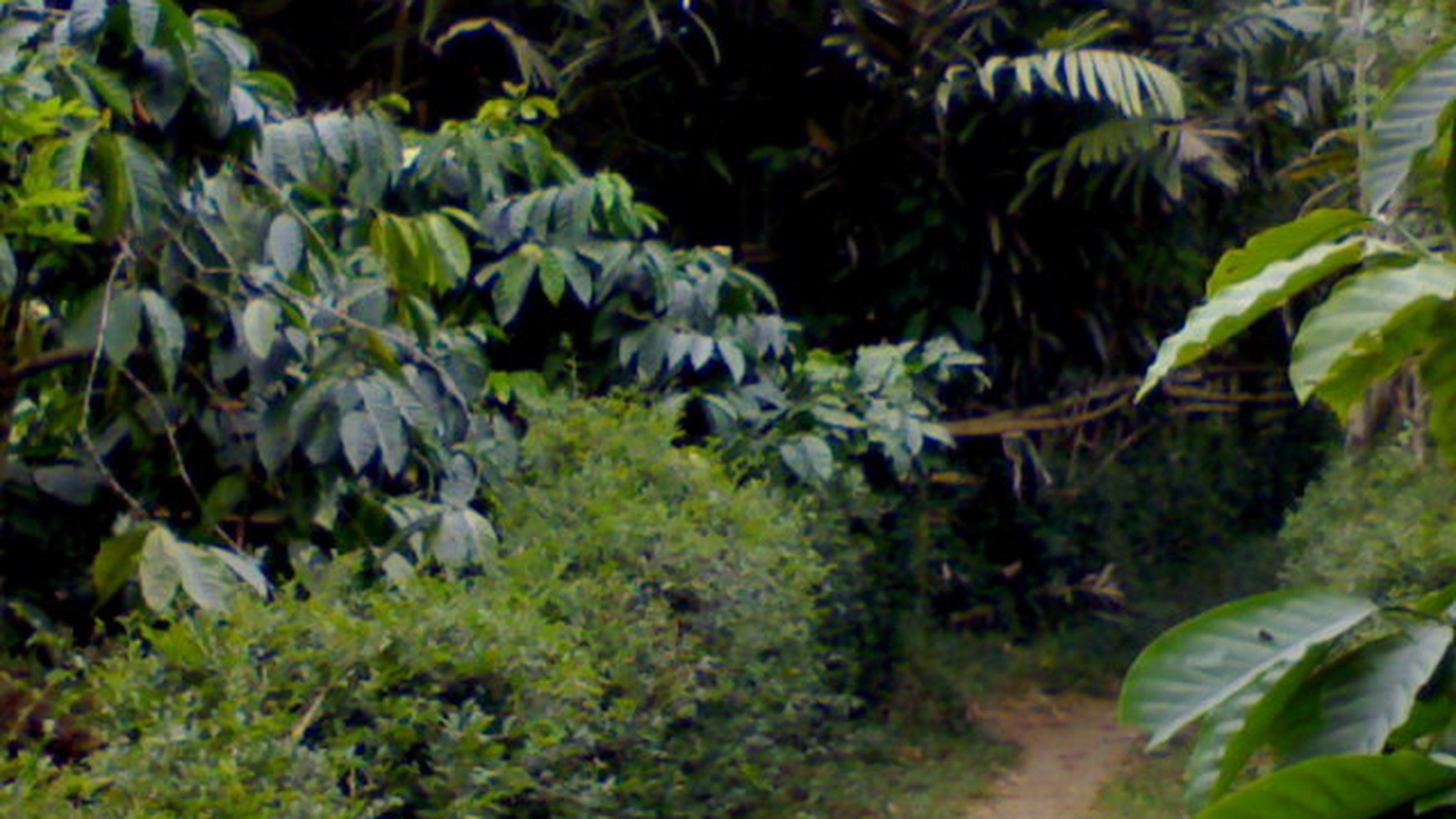 Rumah siap huni di Malang Jawa timur