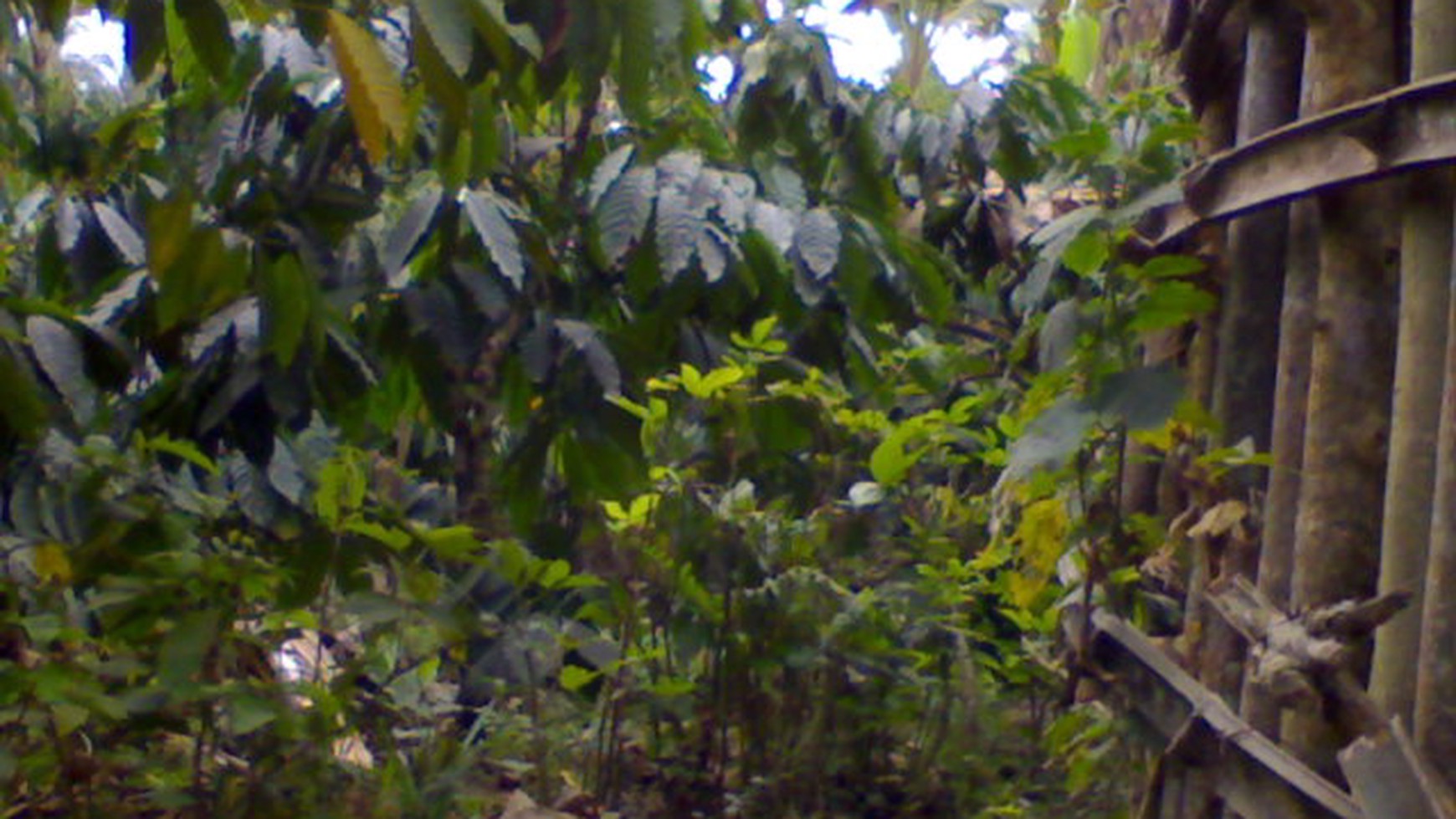 Rumah siap huni di Malang Jawa timur