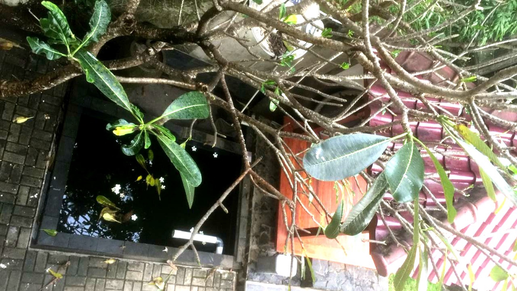 Rumah 2Lt siap Huni Lt 204m dgn Taman Gazebo dan Kolam Ikan