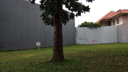 Kavling Strategis dan Murah di Bintaro Puri Bintaro Sektor 9 Luas tanah 550 m