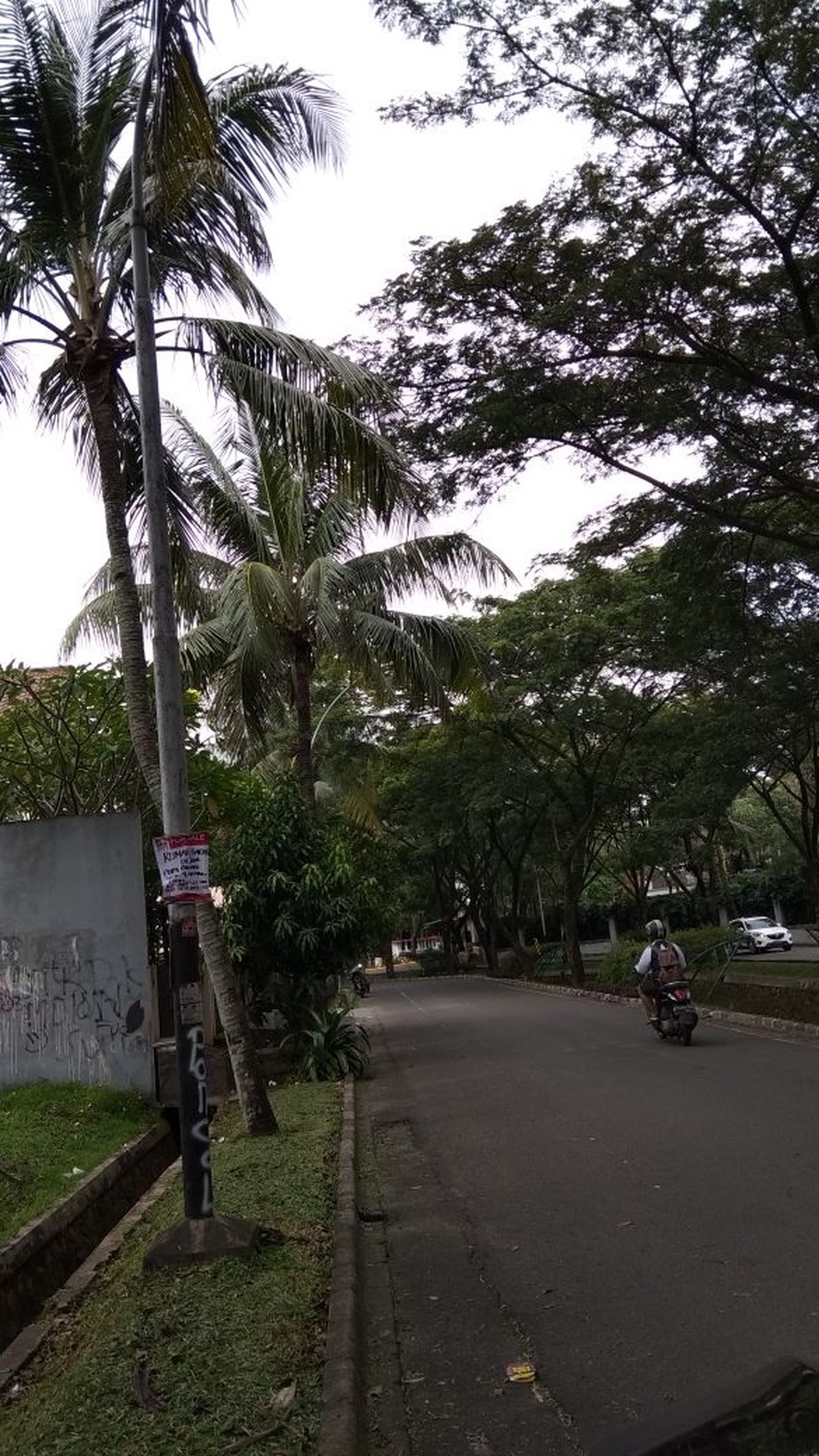 Kavling Strategis dan Murah di Bintaro Puri Bintaro Sektor 9 Luas tanah 550 m