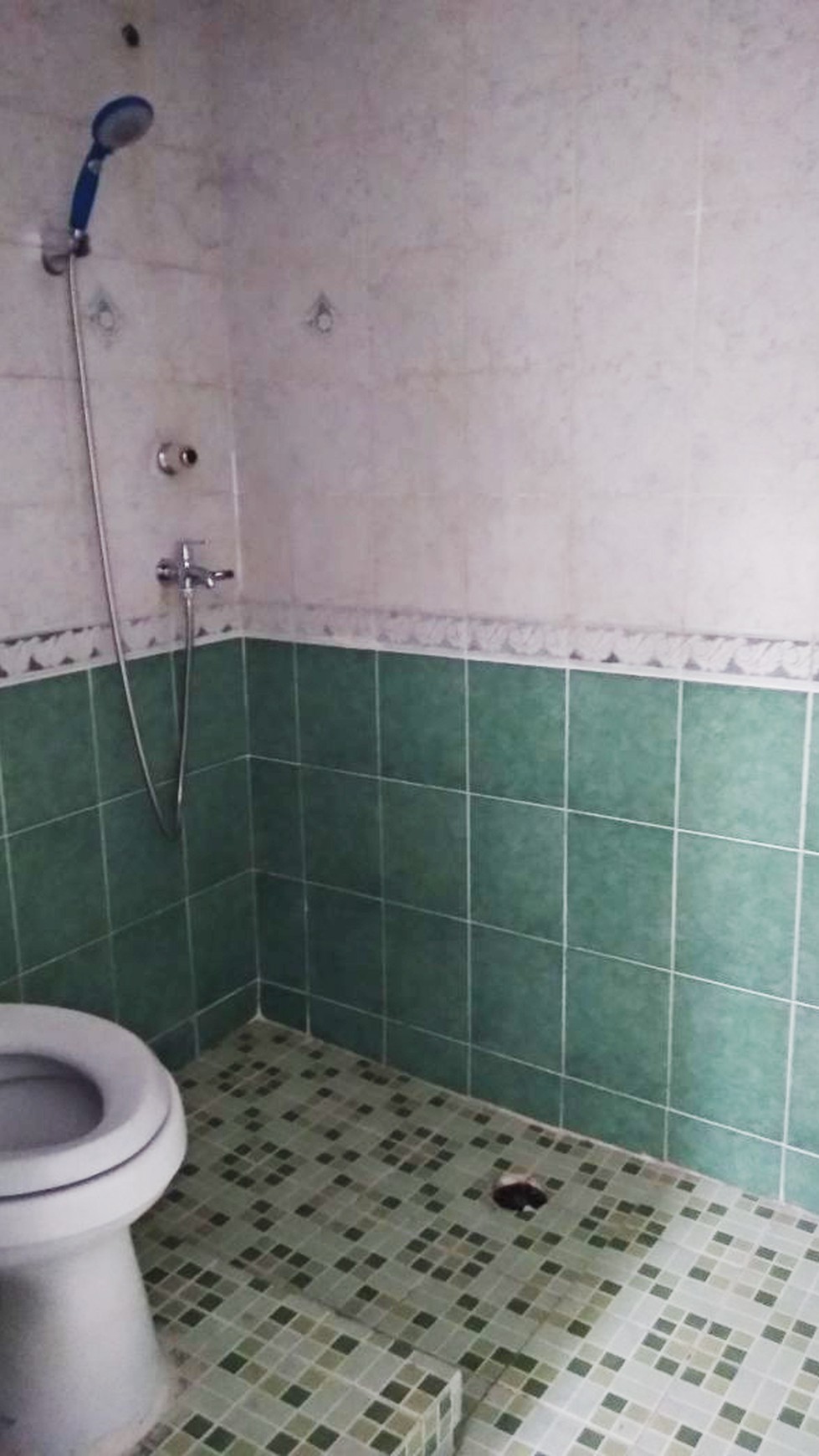 Rumah Dijual di Mertilang Bintaro Sektor 9 Murah