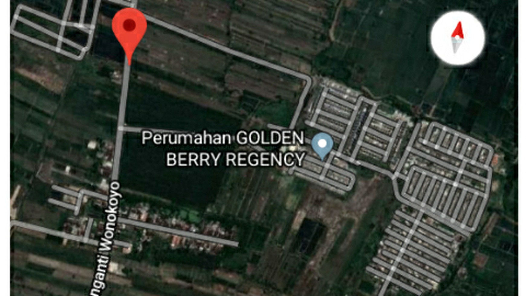 Tanah Menganti sebelah golden berry
