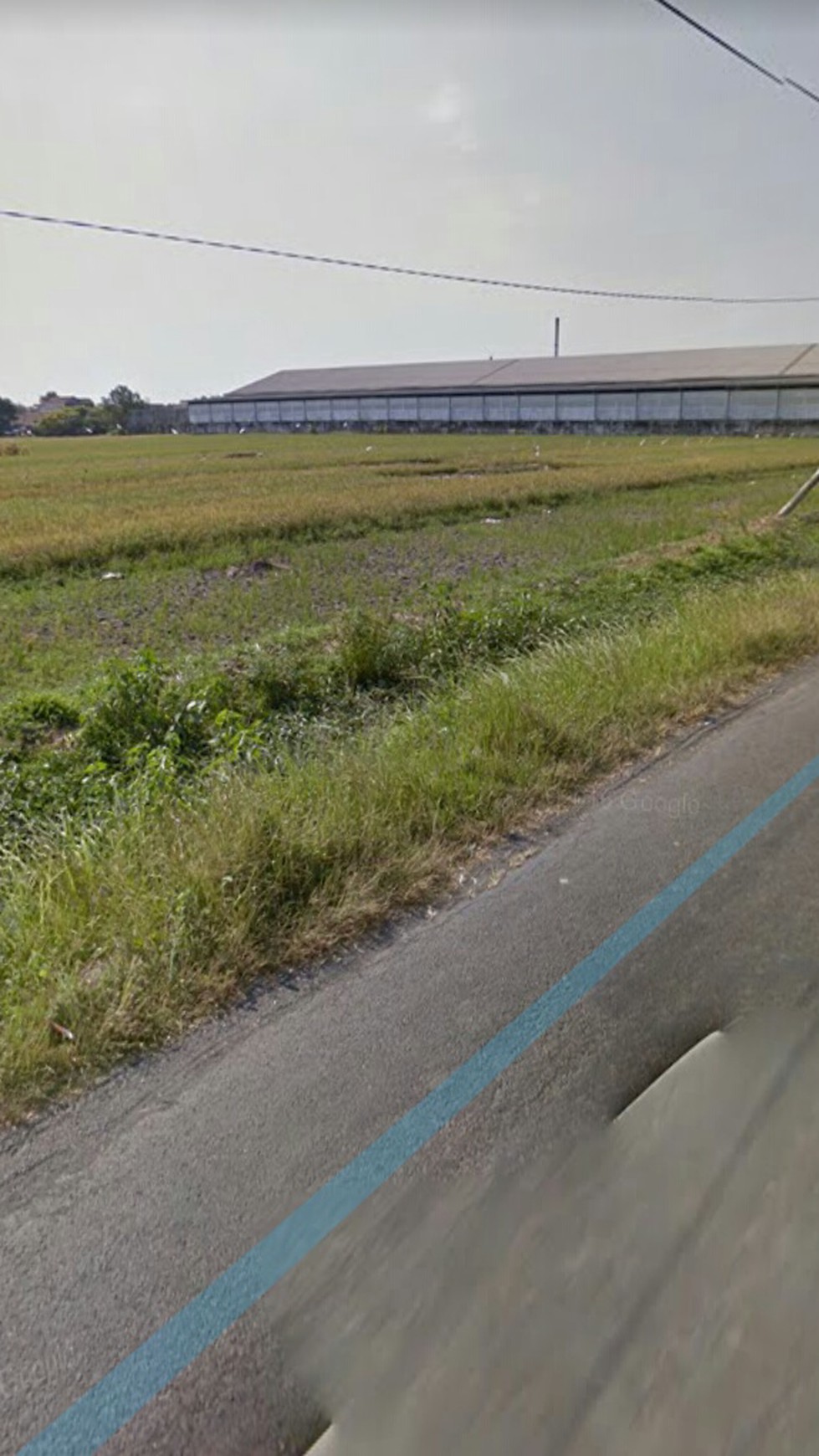 Tanah Kawasan Industri Krian