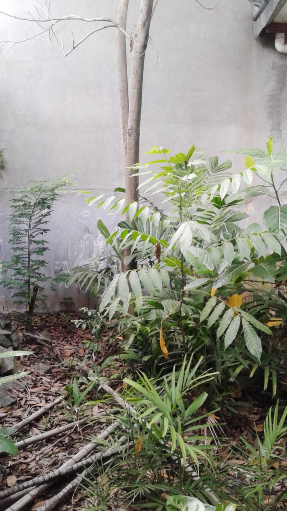 Rumah Di Villa Bintaro Regency, Jombang Tangerang selatan