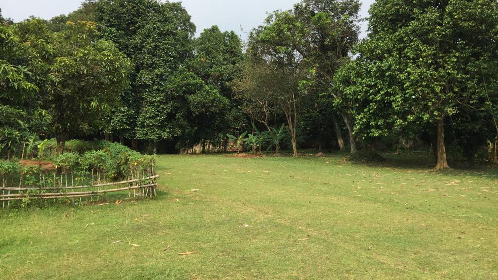 Kavling besar Lokasi strategis di Jl. Raya Parung