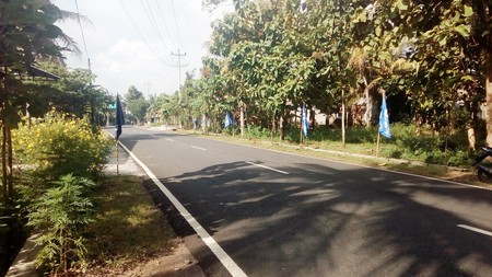TANAH PEKARANGAN DIPINGGIR JL RAYA, DEKAT TERMINAL BARU WONOSARI.