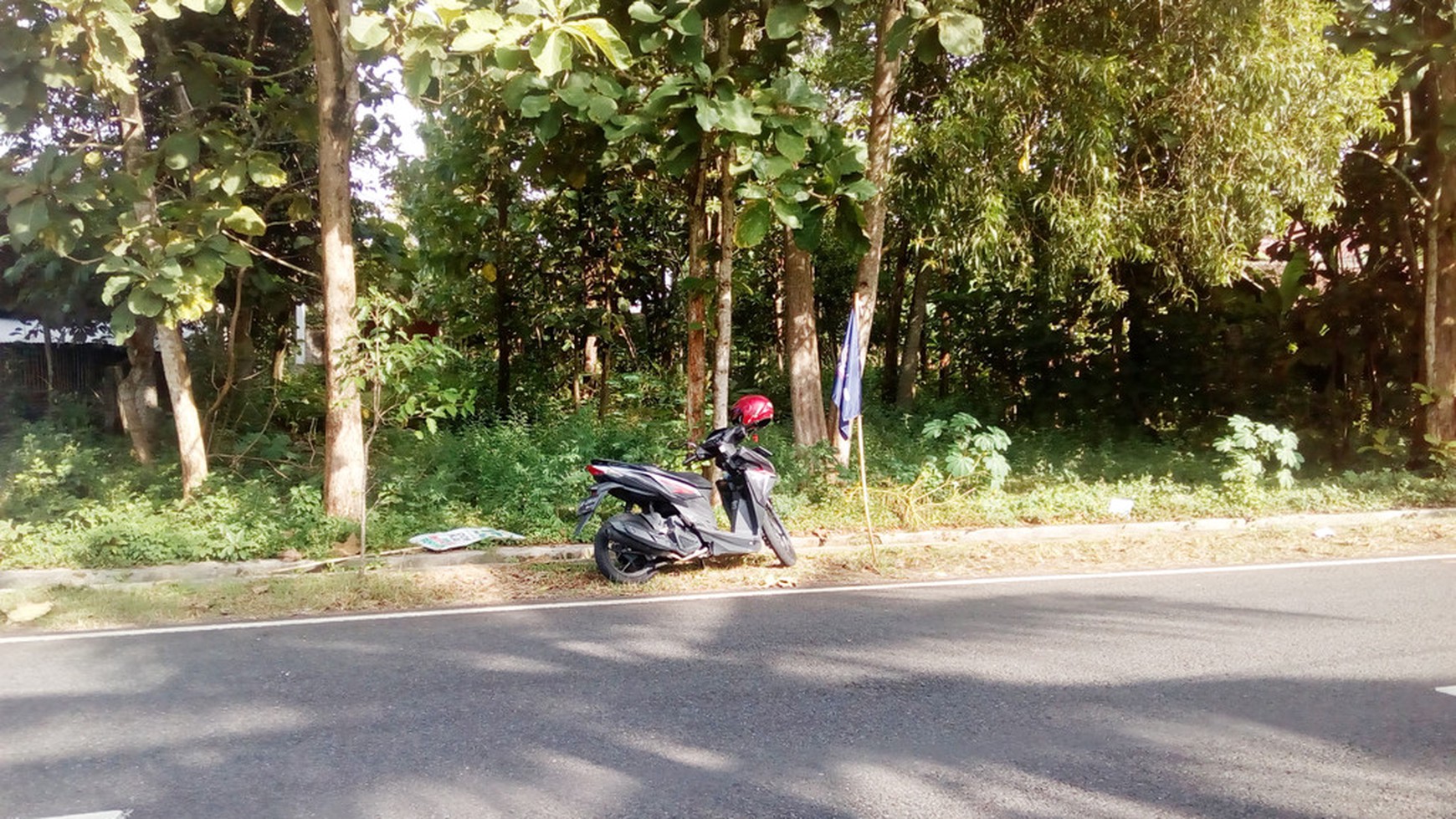 TANAH PEKARANGAN DIPINGGIR JL RAYA, DEKAT TERMINAL BARU WONOSARI.