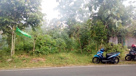 TANAH PEKARANGAN 588 METER DIPINGGIR JL RAYA, DEKAT TERMINAL BARU WONOSARI