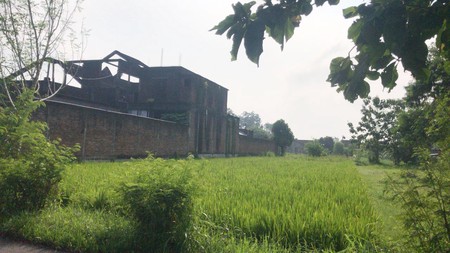 TANAH LUAS 954 METER, HARGA NEGO,  DI JL RAYA BERBAH, KALITIRTO, SLEMAN.