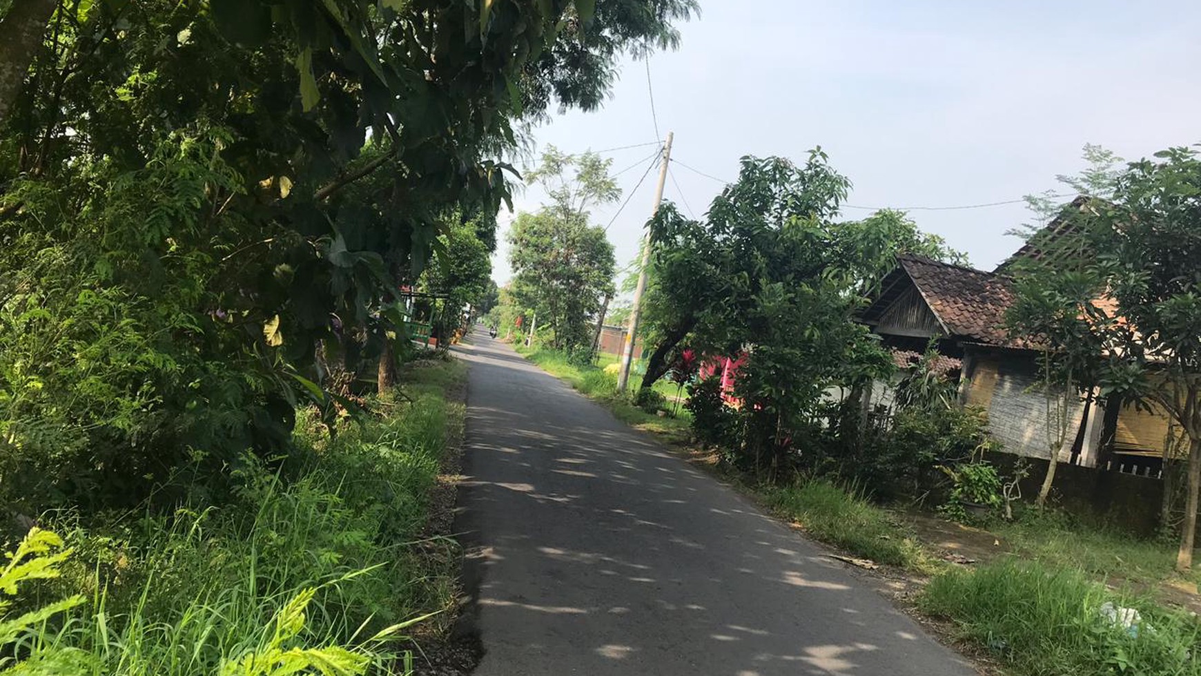 TANAH LUAS 954 METER, HARGA NEGO,  DI JL RAYA BERBAH, KALITIRTO, SLEMAN.