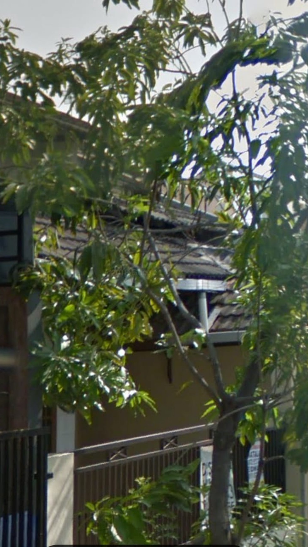 Rumah daerah kenjeran murah