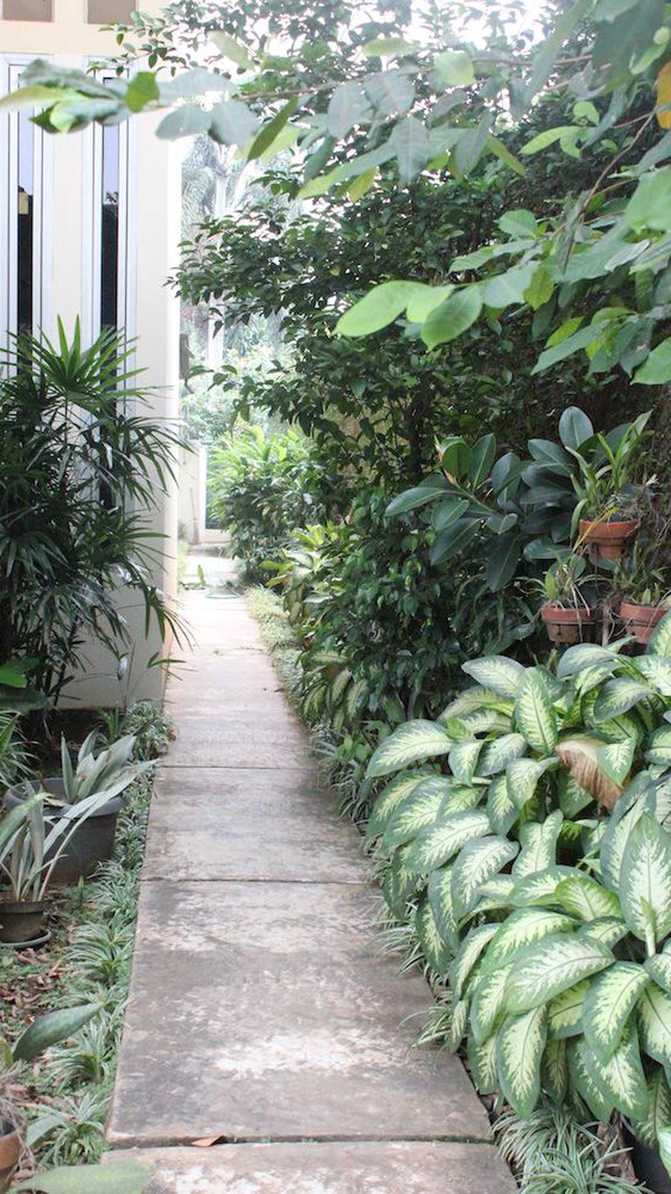 Rumah siap huni,ada kolam renang  di Pondok Labu