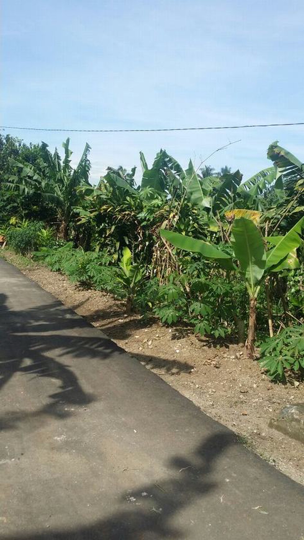 Dijual kavling daerah cocok untuk bangun perumahan minimalist. Harga bagus, area berkembang baik.