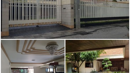 Wijaya Kusuma cocok untuk kantor