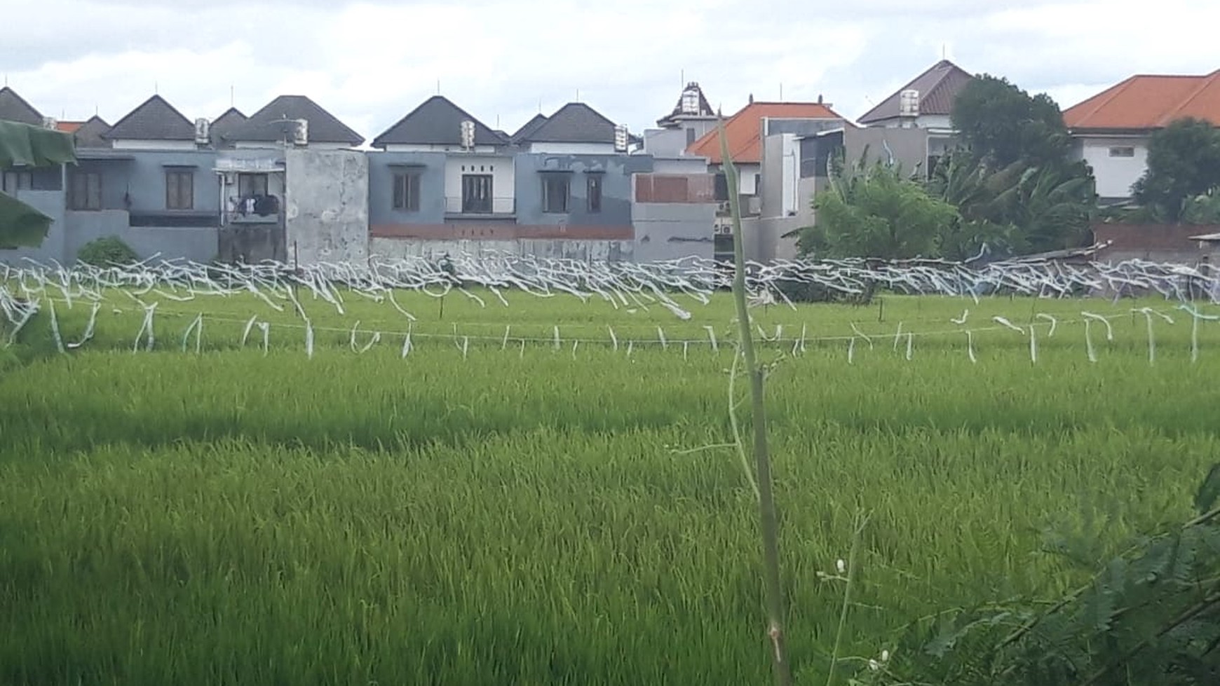 Land Leasehold 4500 Sqm in main Road Denpasar Bali