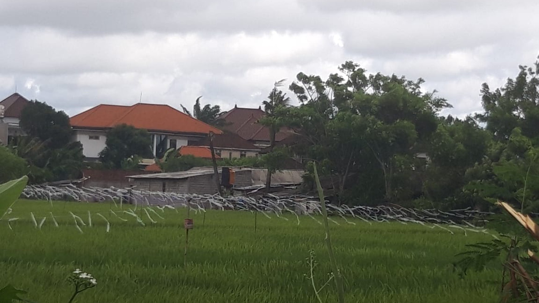 Land Leasehold 4500 Sqm in main Road Denpasar Bali