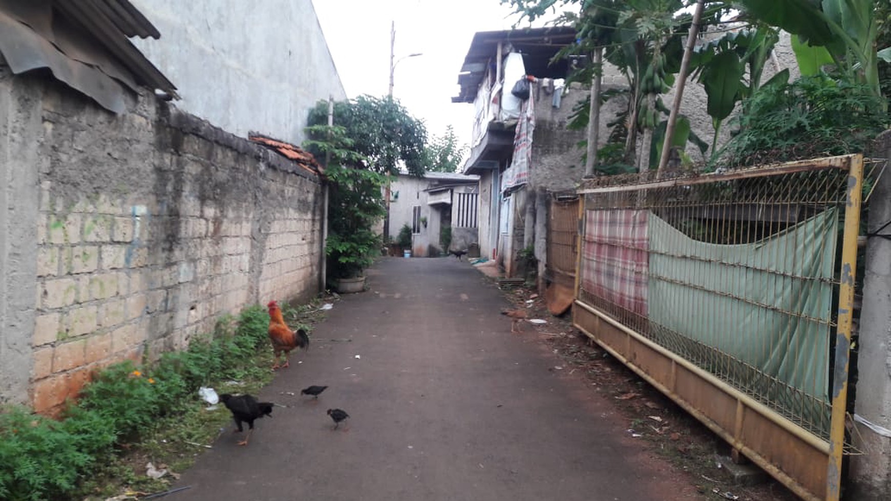 Dijual Kavling Luas, Cocok untuk Dibuat Kontarakan @Jl AMD, Ciputat