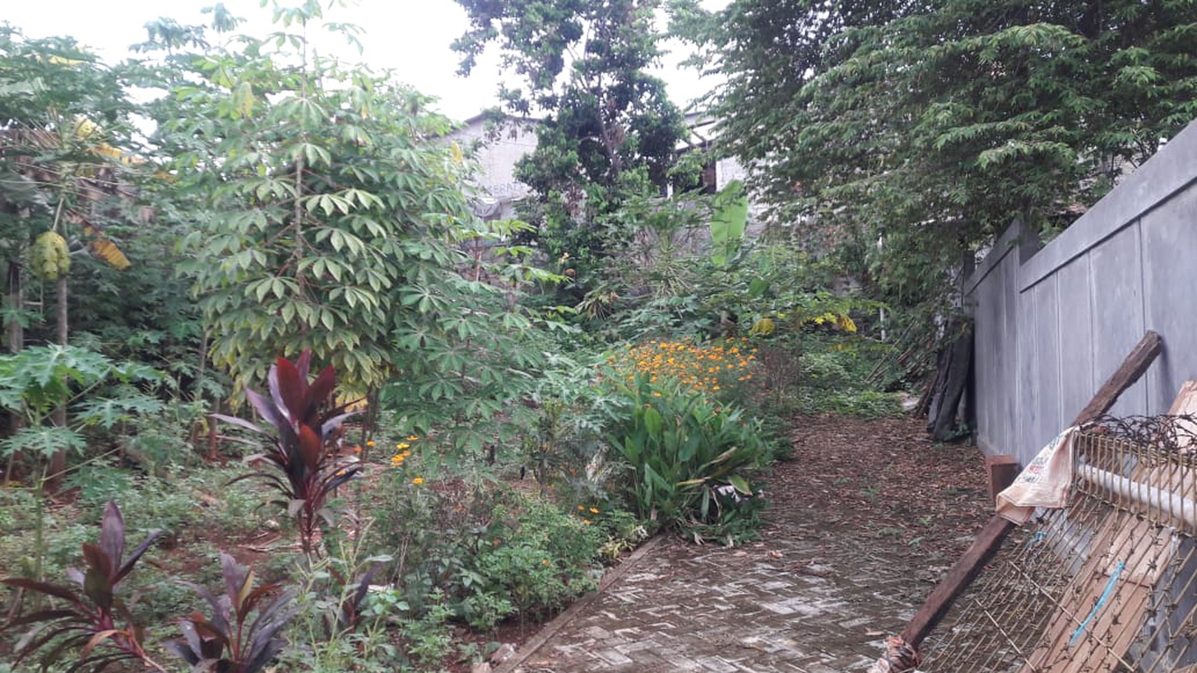 Dijual Kavling Luas, Cocok untuk Dibuat Kontarakan @Jl AMD, Ciputat