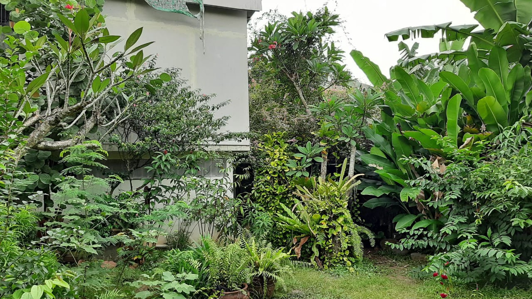 Rumah Siap Huni di Ciputat