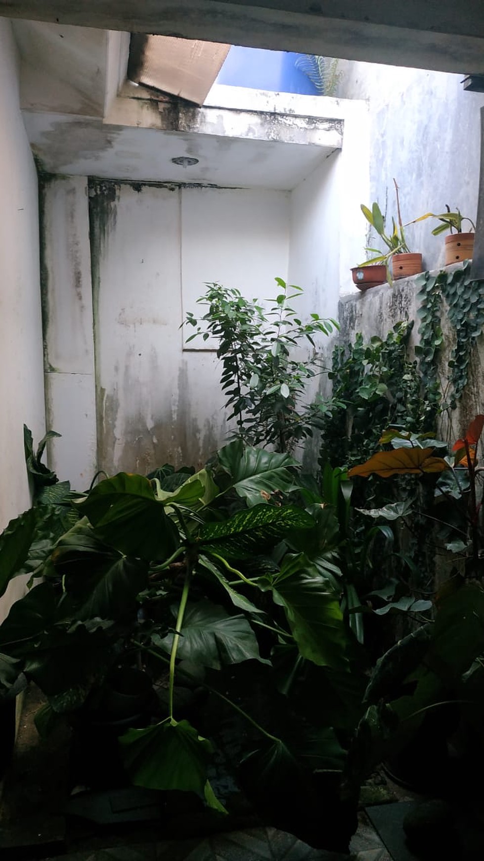 Rumah Dalam Cluster Lingkungan Nyaman