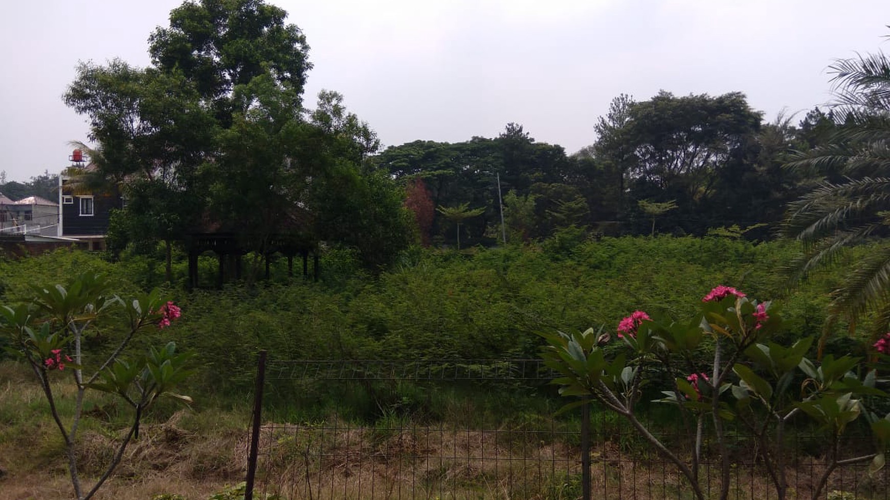 Rumah lama terawat hitung tanah harga murah di Cibubur, Harjamukti, Depok, Jawa Barat.