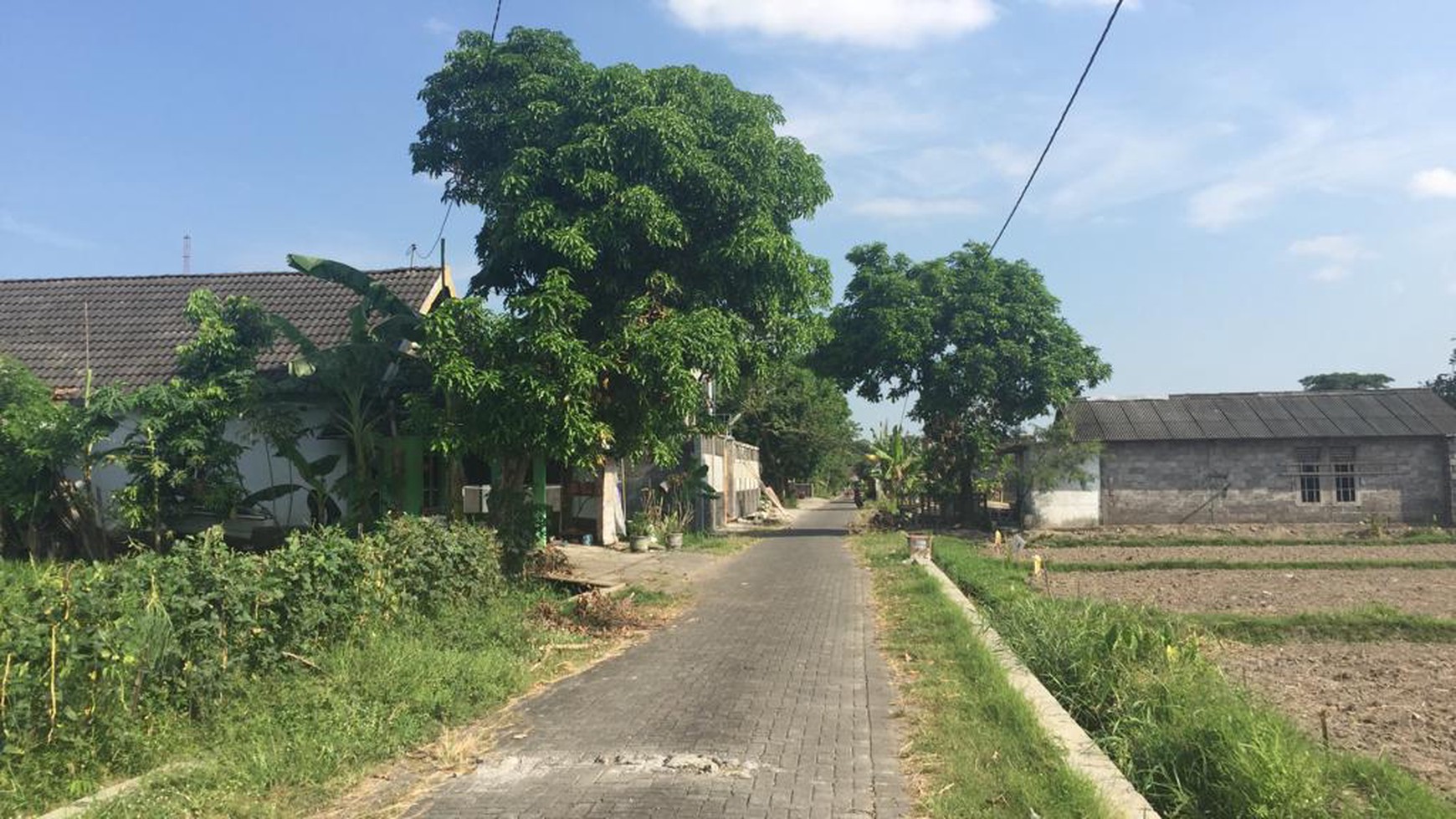 DIJUAL TANAH SAWAH DI TIRTOMARTANI, KALASAN.