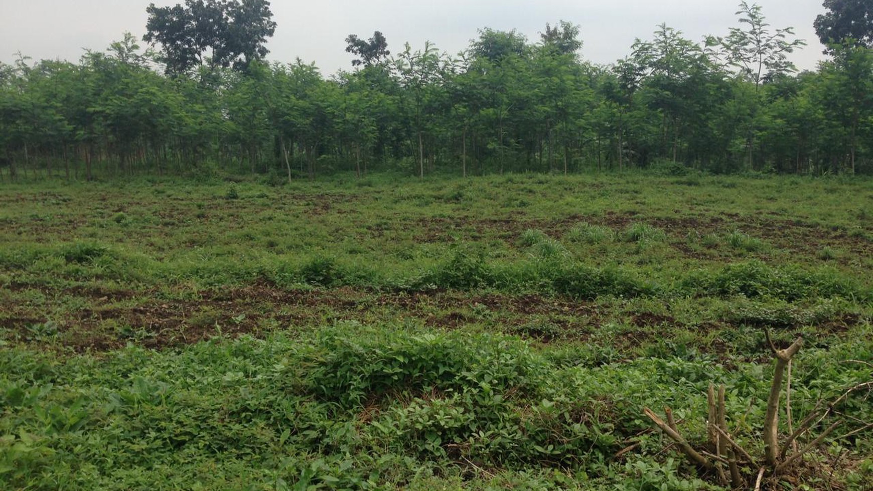 Tanah dijual veteran gresik