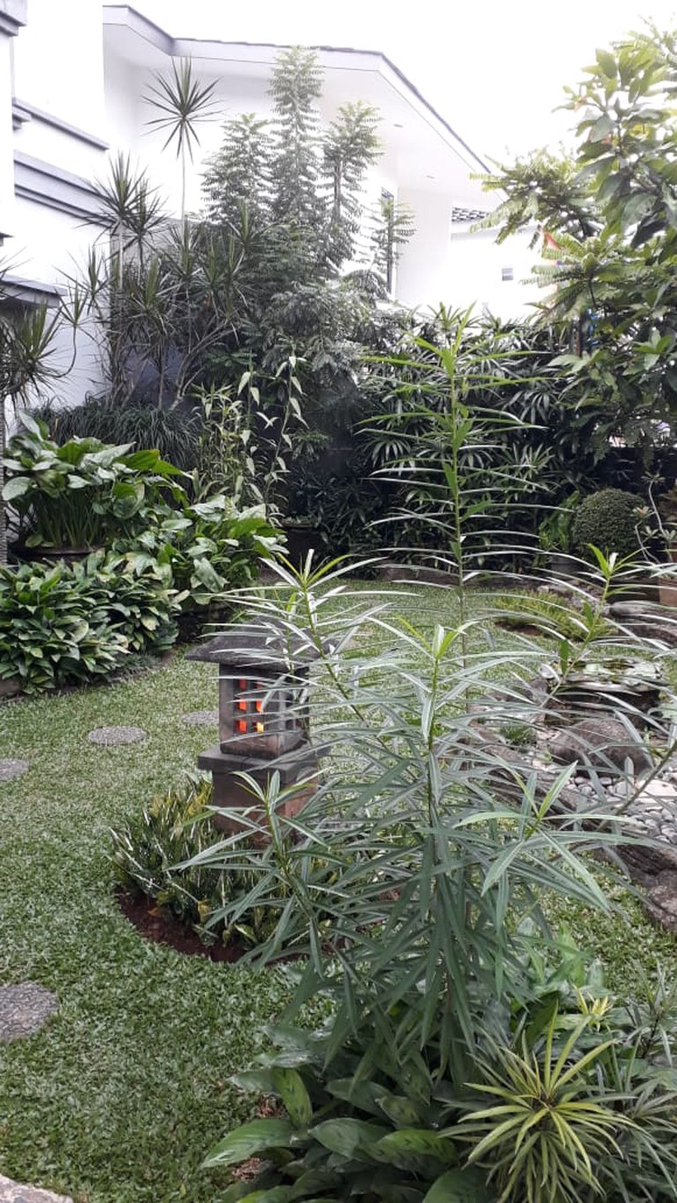 Dijual Rumah Di Taman Bromo - Lippo Karawaci