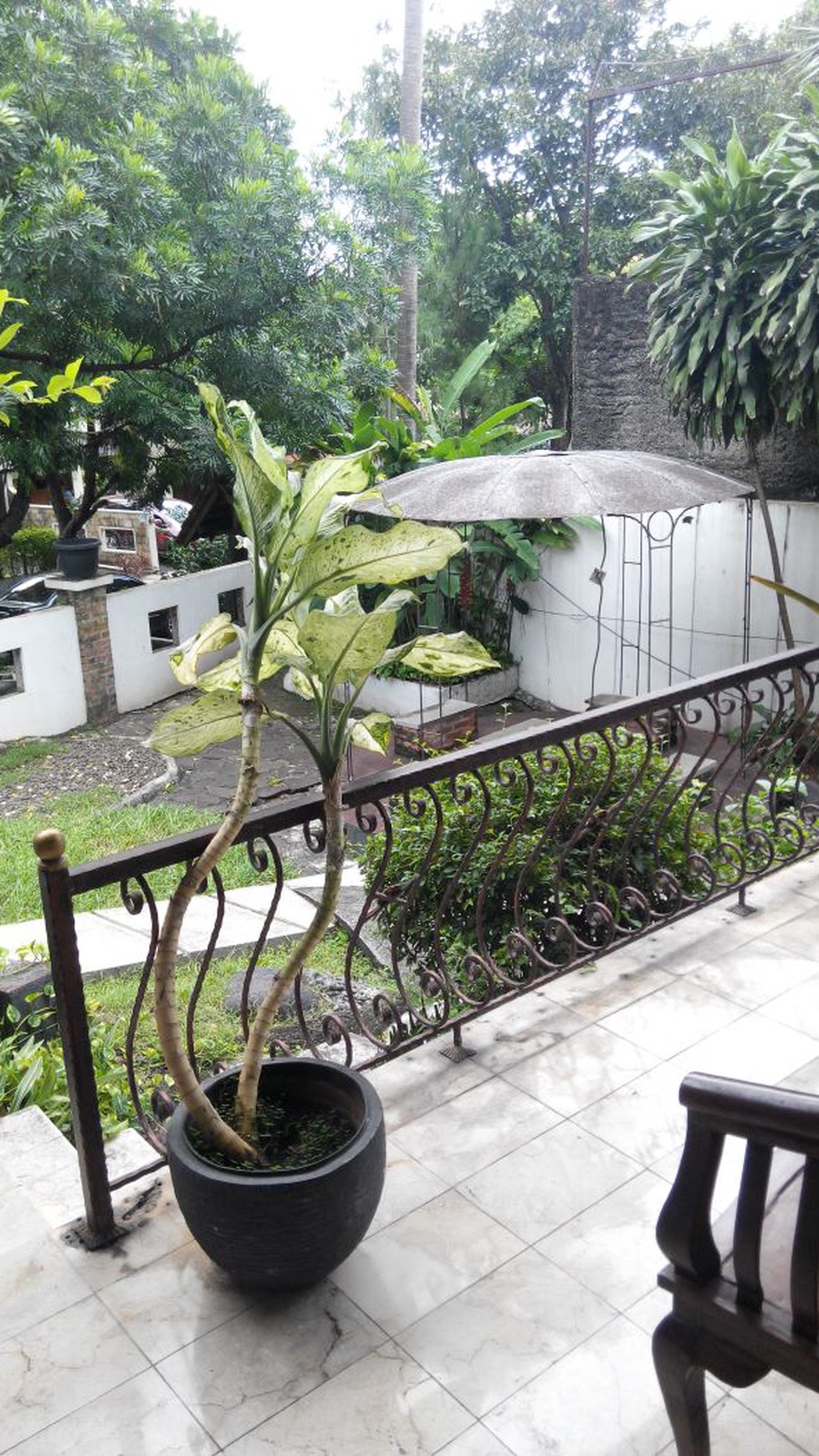 Dijual Rumah Siap Huni, Hunian Nyaman dan Asri @Jati Padang, Jakarta Selatan