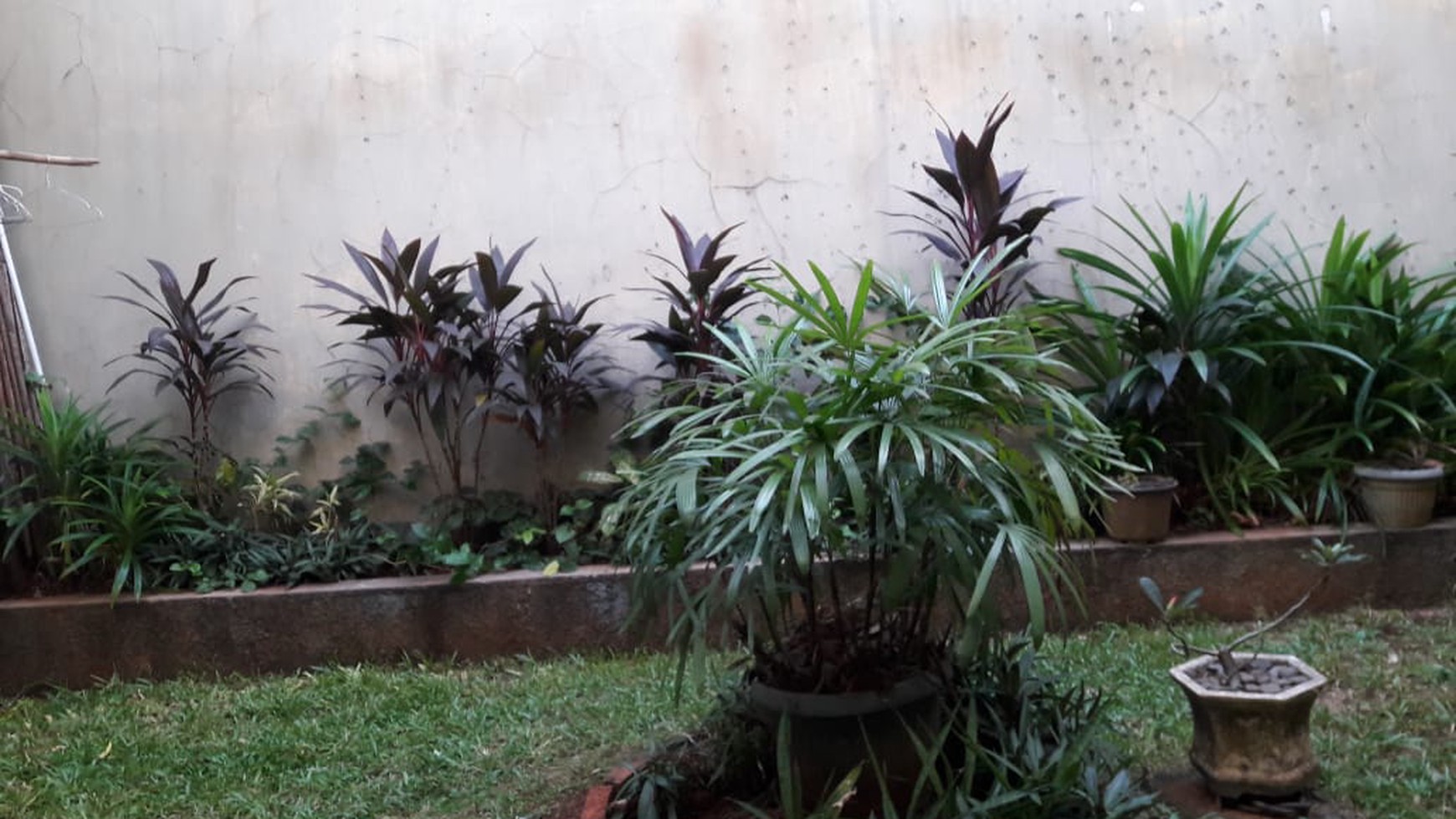 Rumah Siap Huni, Hunian Nyaman dan Asri @Mandar, Bintaro