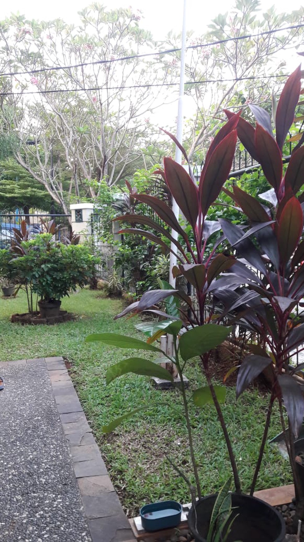 Rumah Siap Huni, Hunian Nyaman dan Asri @Mandar, Bintaro