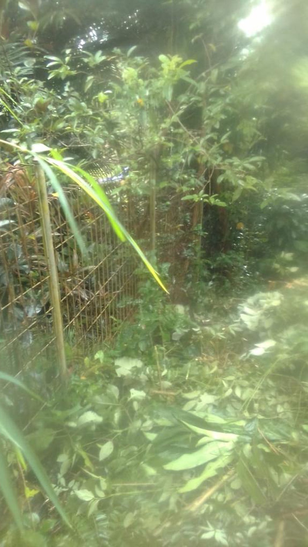 Kavling siap bangun di Cisarua Bogor