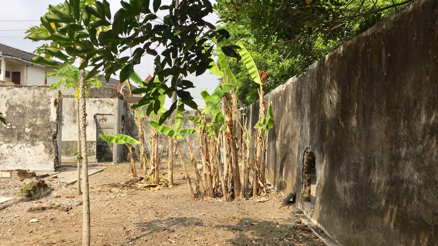 TANAH PEKARANGAN DI PANDEGA PADMA, COCOK UNTUK KOST, RUMAH TINGGAL.