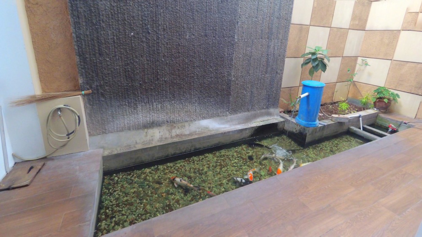 Rumah siap huni Kayu Putih Jakarta Timur