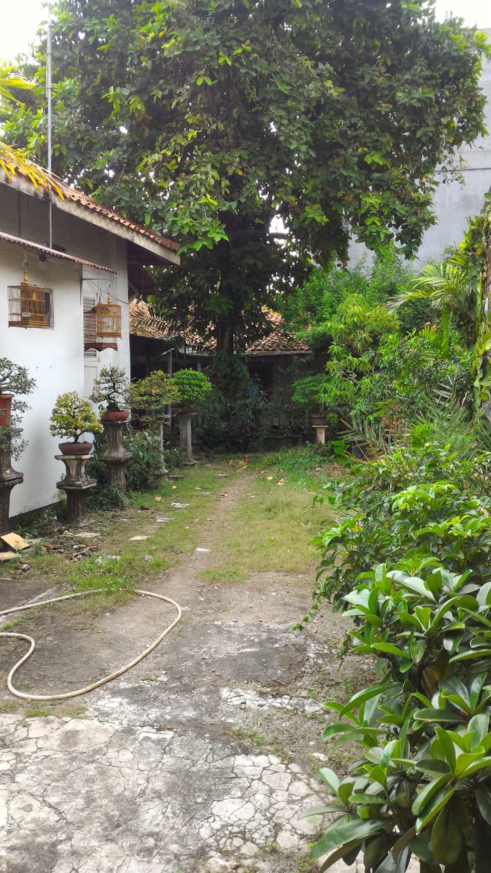 Rumah Antik terawat dengan baik - nyaman - dilingkungan tenang.